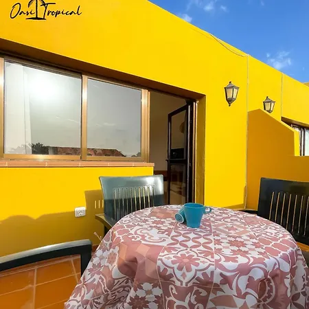 Oasi Tropical Wifi Free By Rentalfue *