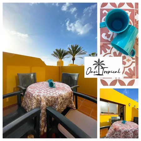 Oasi Tropical Wifi Free By Rentalfue *