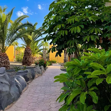 Oasi Tropical Wifi Free By Rentalfue Apartment Corralejo